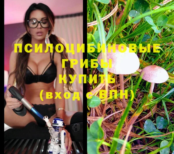 мефедрон Нефтекумск