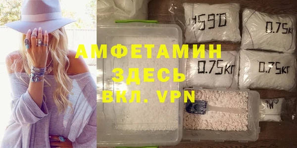 ГАЛЛЮЦИНОГЕННЫЕ ГРИБЫ Нея