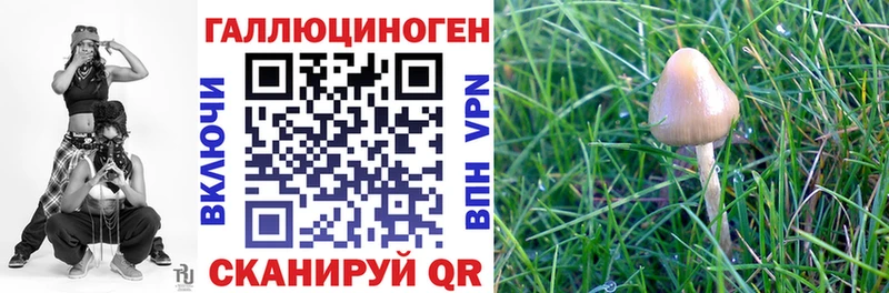 нарко площадка формула  как найти   Шлиссельбург  Псилоцибиновые грибы Psilocybine cubensis 